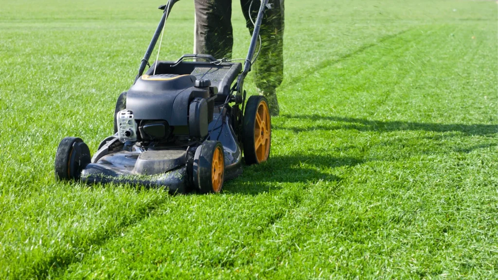 Your-Ideal-Mowing-Schedule-in-Lake-Forest-2-1