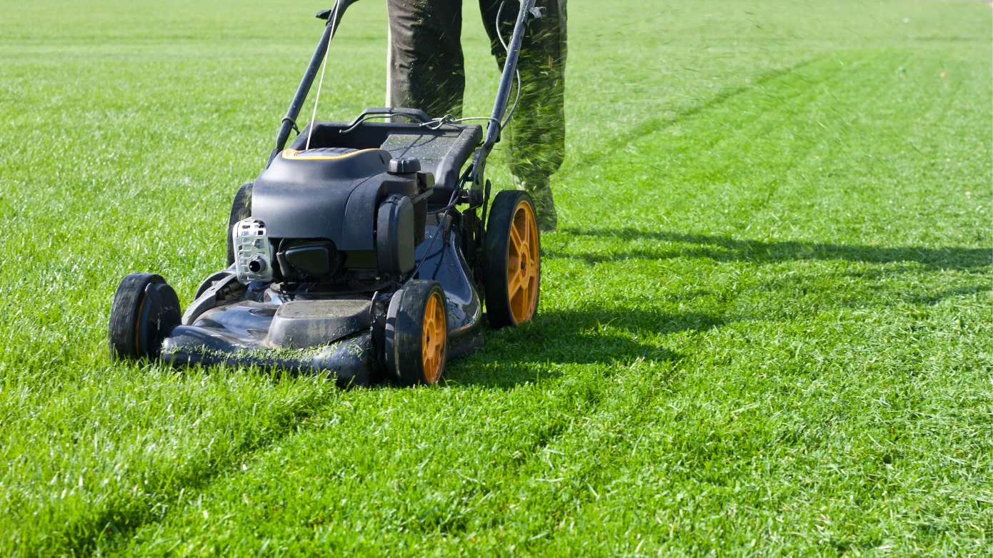 Your-Ideal-Mowing-Schedule-in-Lake-Forest-2-1