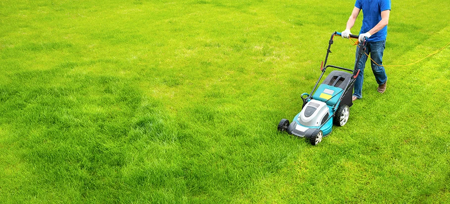 lawn-mowing-253