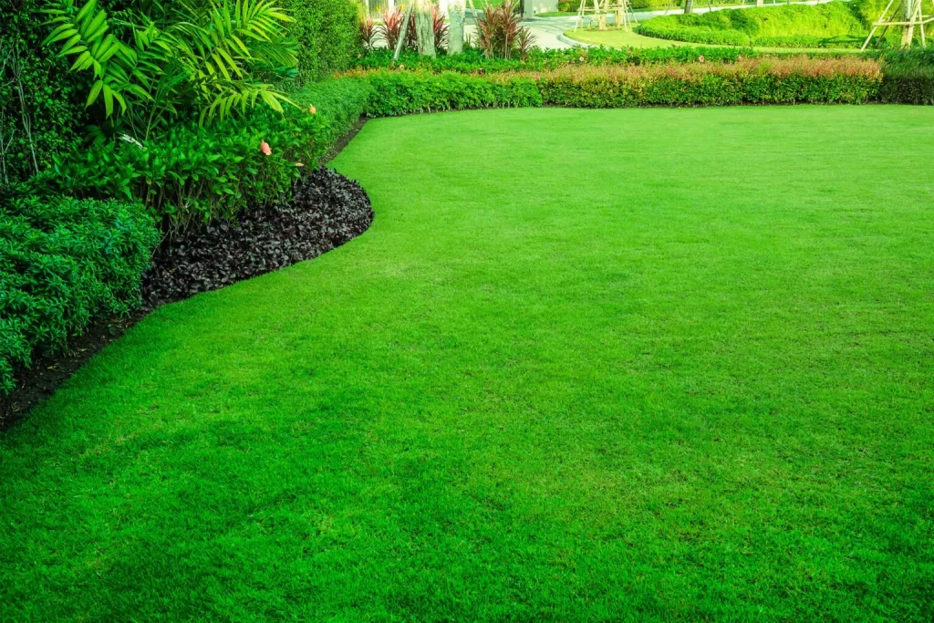 Hire a Licensed and Insured Contractor