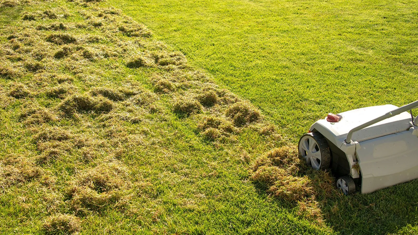 Mission Viejo Lawns-Problem