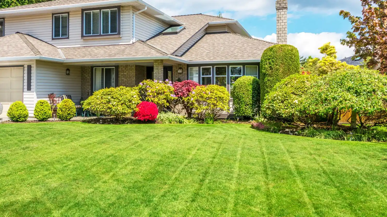 Why Your Yard Needs Landscaping