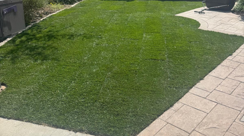 Fresh green sod installed in a backyard lawn beside a paver patio