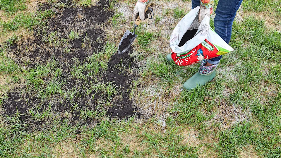 Lawn Fixes Tustin Homeowners Need Before Summer Hits