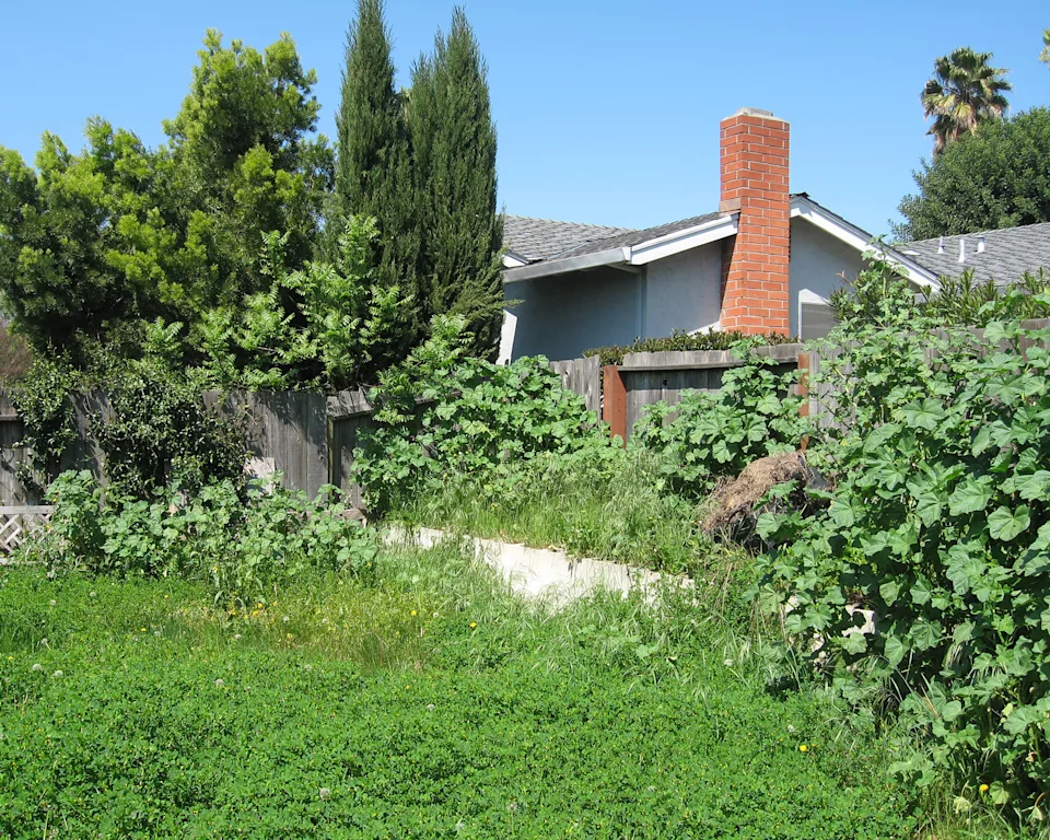 Top 5 Garden Mistakes and How to Fix Them - Land Disview
