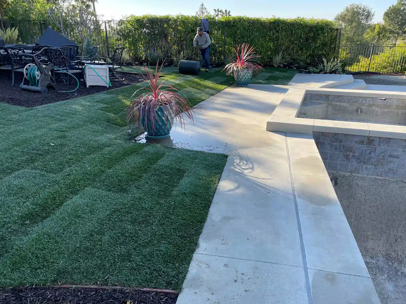 Land Disview team installing fresh lawn turf in a backyard near a pool and patio.