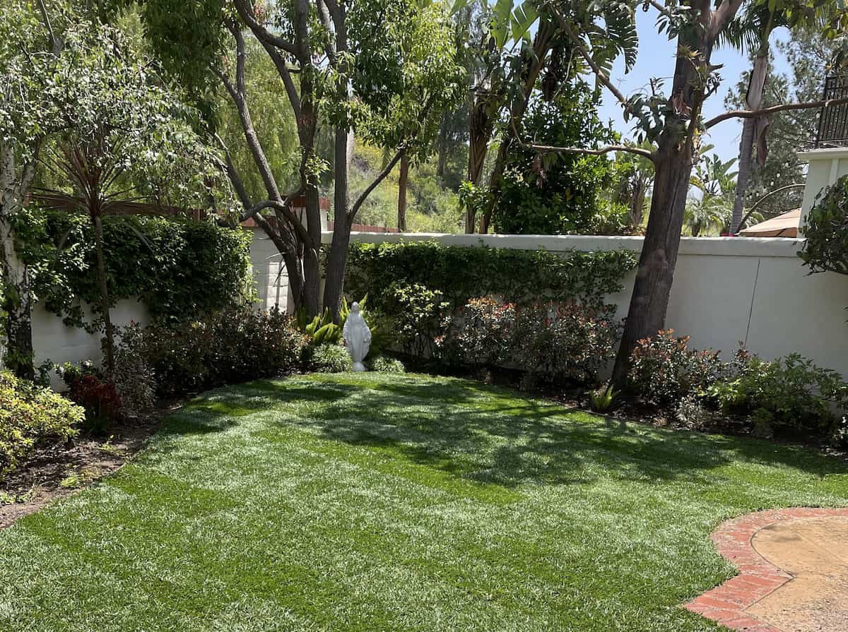 Beautiful lawn in Orange County CA