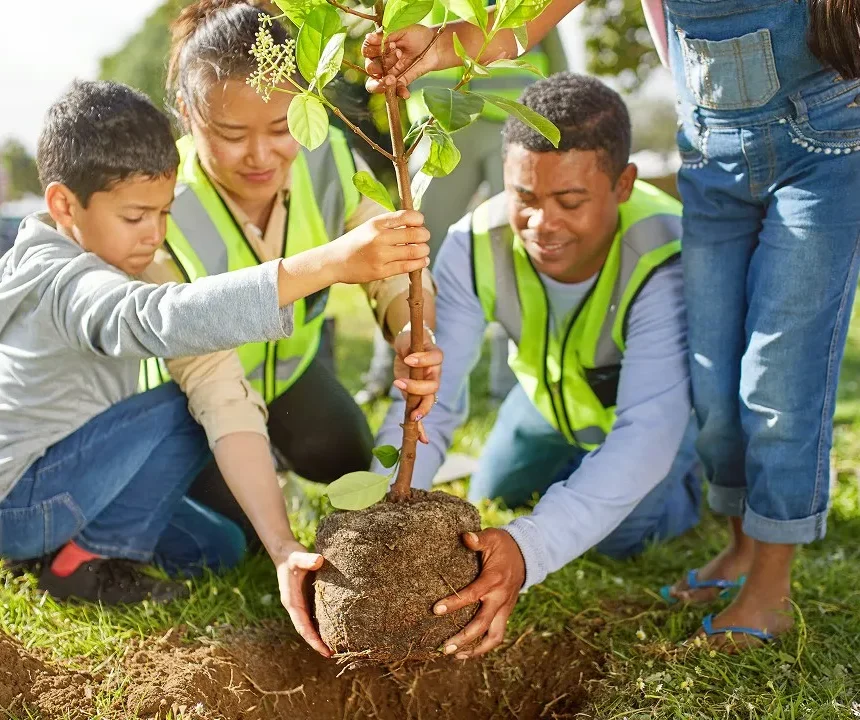 Landscape Design Orange County CA Land Disview Landscaping