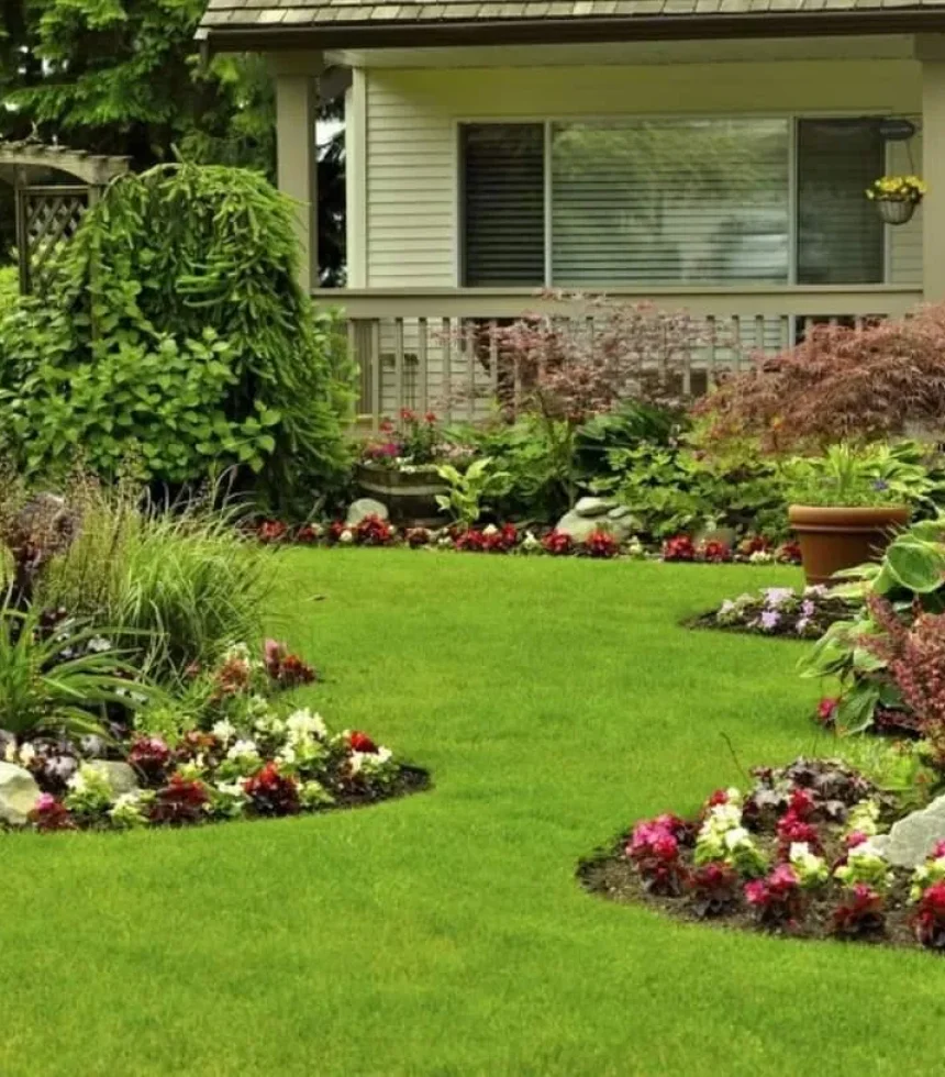 Top Landscape and Lawn Care- Land Disview