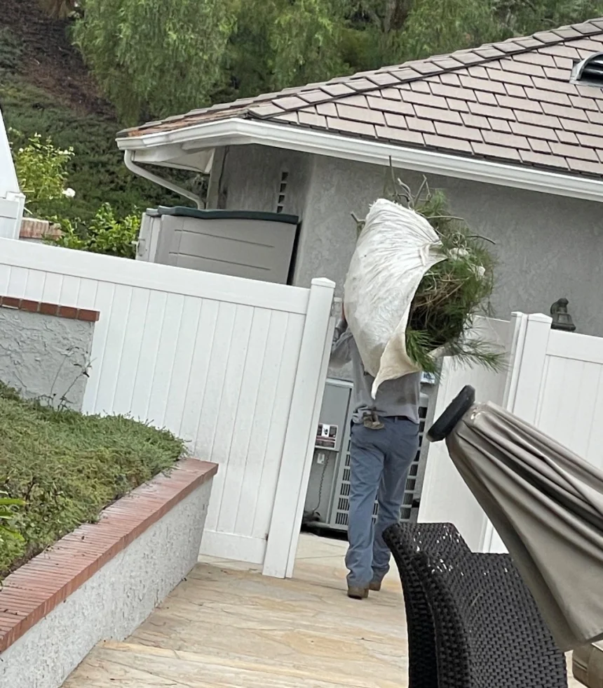 clean up in orange county