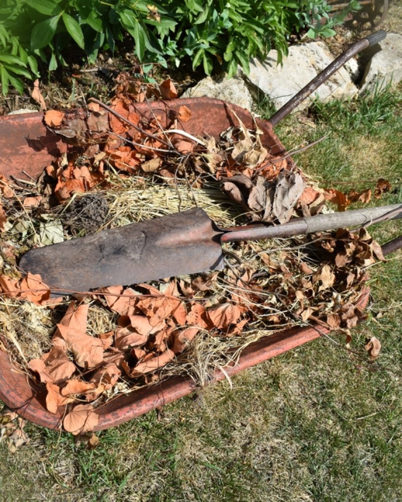 Shovel,In,A,Wheelbarrow,Full,Of,Weeds