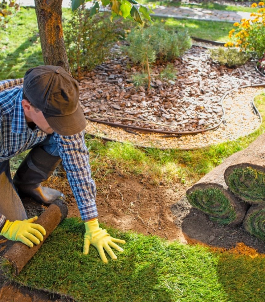 Landscape,Gardener,Laying,Turf,For,New,Lawn,In,The,Garden